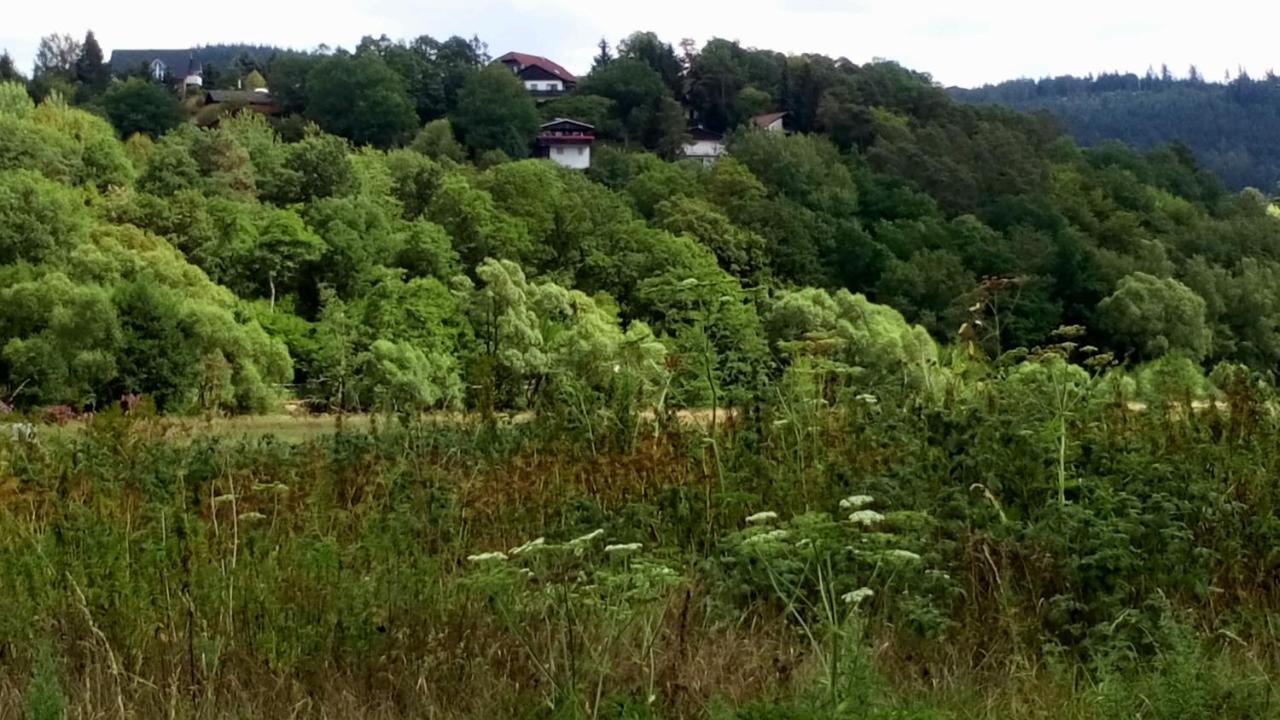 Hatzfeld Ferienhaus Im Ederberglandヴィラ エクステリア 写真